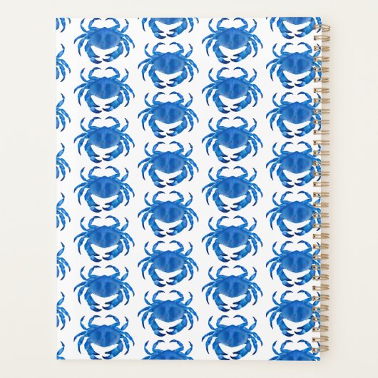 Taschenkrebse 2024 planer (Rückseite)