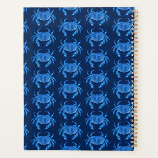 Taschenkrebse 2024 planer (Rückseite)