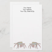 Taschenkrebse Briefpapier (Vorne/Hinten)