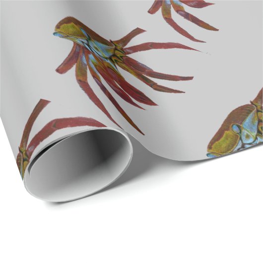 Taschenkrebse Geschenkpapier (Rolleneckpunkt)