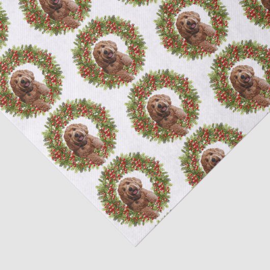 Taschentuch Seidenpapier (Ausschnitt)