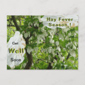 Taschentuch Tree Hay Fever Season Postcard Postkarte (Vorderseite)