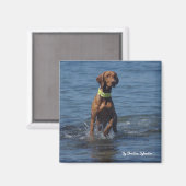 Tasha1 Magnet (Vorderseite/Rückseite)