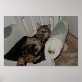 Tasha Bear Poster (Vorne)