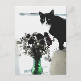 Tasha, die Tuxedo-Katze Postkarte