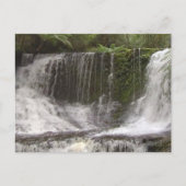 TASMANIA AUSTRALIA WASSERFALLS NATURFLÜSSE POSTKARTE (Vorderseite)