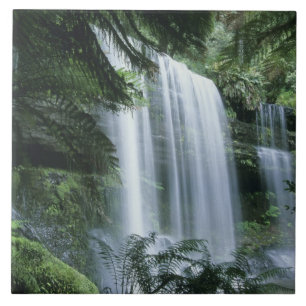 Tasmania, Mt. Field Nationalpark, Russell Falls Fliese