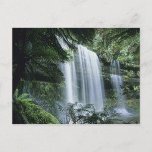 Tasmania, Mt. Field Nationalpark, Russell Falls Postkarte