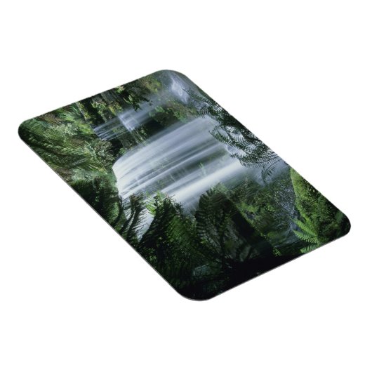 Tasmania, National Park des Mt. Field, Russell Fal Magnet (Rechte Seite)