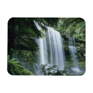 Tasmania, National Park des Mt. Field, Russell Fal Magnet
