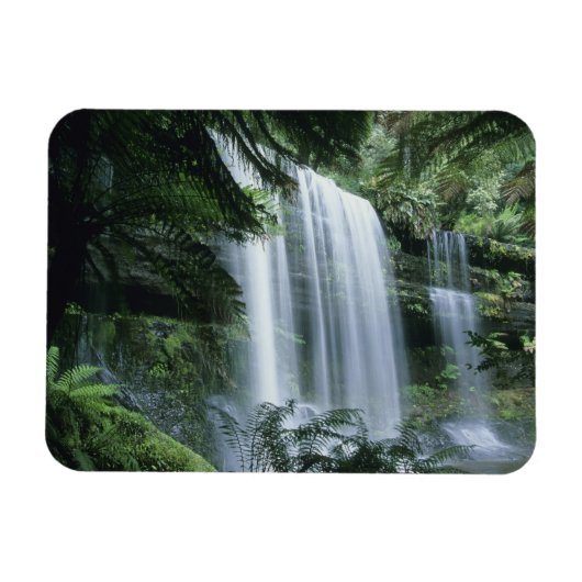 Tasmania, National Park des Mt. Field, Russell Fal Magnet (Horizontal)