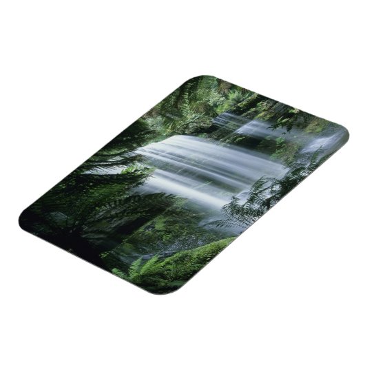 Tasmania, National Park des Mt. Field, Russell Fal Magnet (Linke Seite)