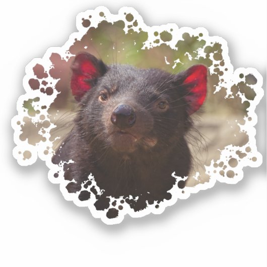Tasmanian Devil Aufkleber (Vorderseite)
