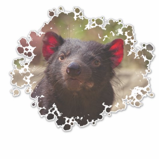 Tasmanian Devil Aufkleber (Vorderseite)