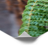 Tasmanian Devil Begegnung Poster (Ecke)