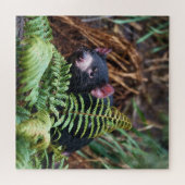 Tasmanian Devil Begegnung Puzzle (Horizontal)