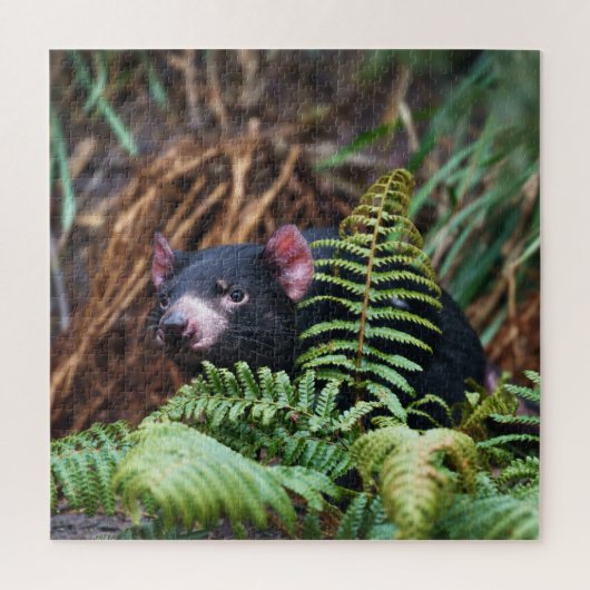 Tasmanian Devil Begegnung Puzzle (Vertikal)