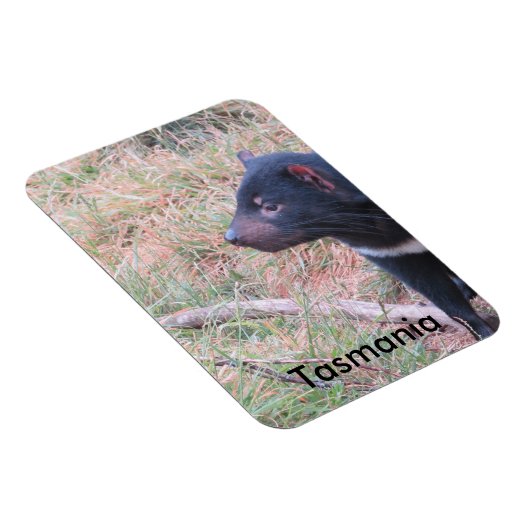 Tasmanian Devil Flexible Magnet (Rechte Seite)