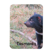 Tasmanian Devil Flexible Magnet (Vertikal)