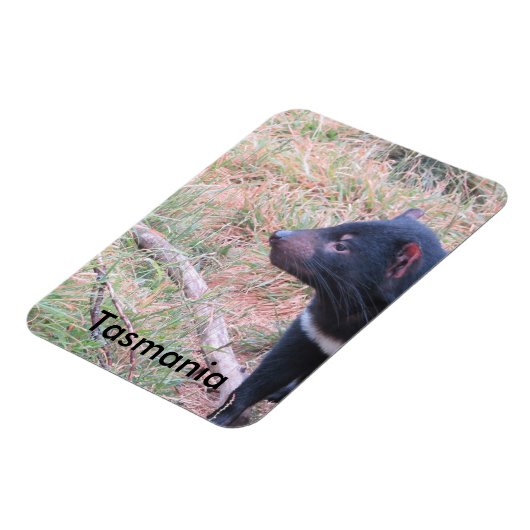 Tasmanian Devil Flexible Magnet (Linke Seite)