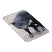Tasmanian Devil Flexible Magnet (Rechte Seite)