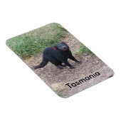 Tasmanian Devil Flexible Magnet (Rechte Seite)