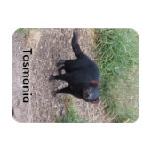 Tasmanian Devil Flexible Magnet (Horizontal)