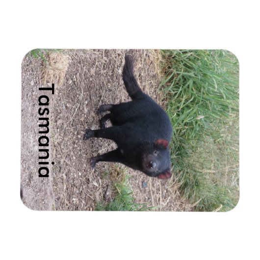 Tasmanian Devil Flexible Magnet (Horizontal)