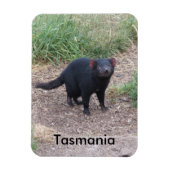 Tasmanian Devil Flexible Magnet (Vertikal)