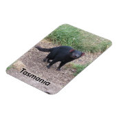 Tasmanian Devil Flexible Magnet (Linke Seite)