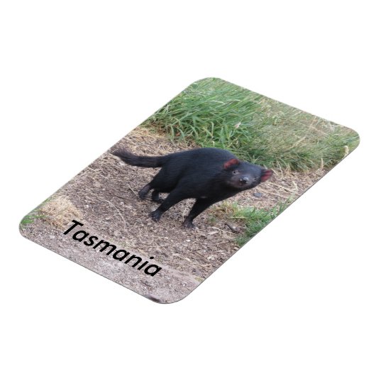 Tasmanian Devil Flexible Magnet (Linke Seite)