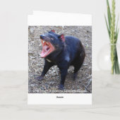 Tasmanian Devil Happy Birthday Karte (Rückseite)