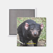 Tasmanian Devil Magnet (Vorderseite/Rückseite)