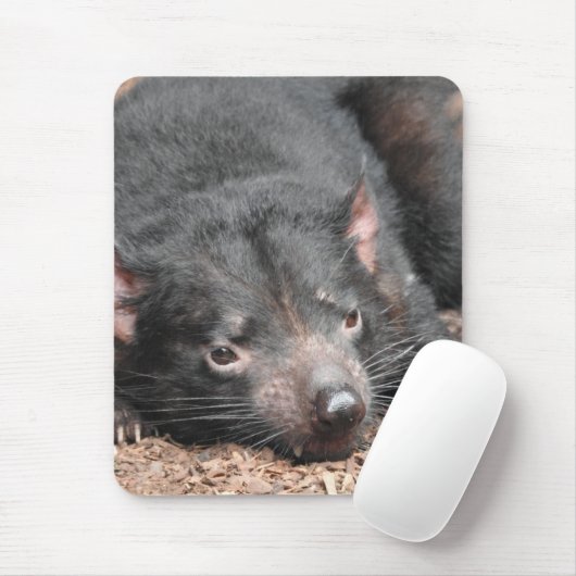 Tasmanian Devil Mousepad (Mit Mouse)