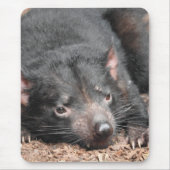 Tasmanian Devil Mousepad (Vorne)