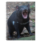 Tasmanian Devil Notizblock (Vorderseite)