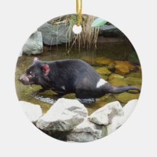 Tasmanian Devil Ornament