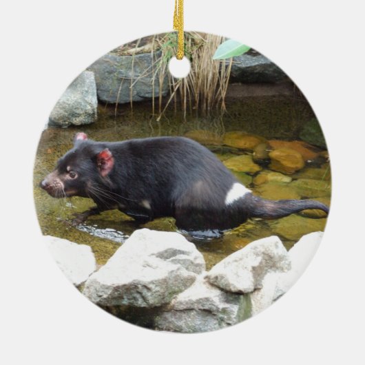 Tasmanian Devil Ornament (Hinten)