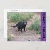 Tasmanian Devil Postcard Postkarte (Vorne/Hinten)