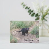 Tasmanian Devil Postcard Postkarte (Stehend Vorderseite)