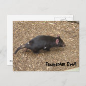 Tasmanian Devil Postkarte (Vorne/Hinten)