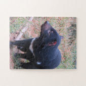Tasmanian Devil Puzzle (Horizontal)