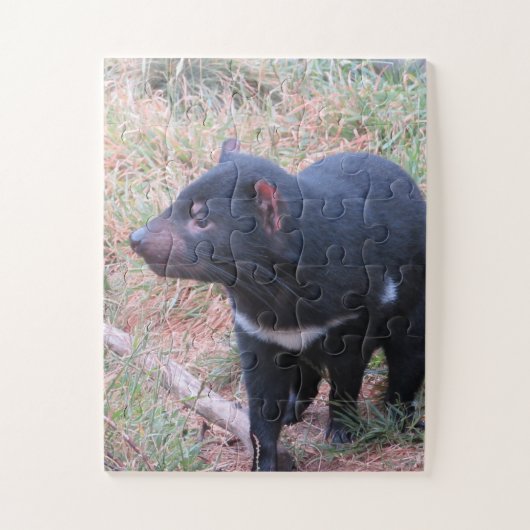 Tasmanian Devil Puzzle (Vertikal)