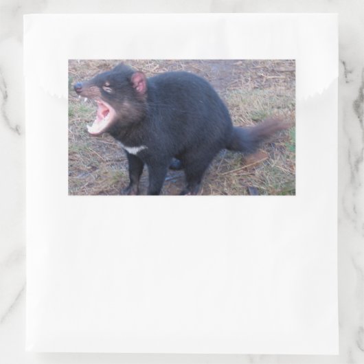 Tasmanian Devil - Stickers (Tasche)