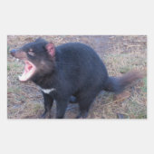 Tasmanian Devil - Stickers (Vorderseite)