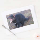 Tasmanian Devil - Stickers (Umschlag)