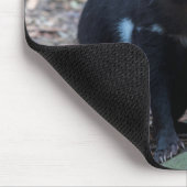 Tasmanian Devil Tasmania Australien Nah Up Foto Mousepad (Ecke)