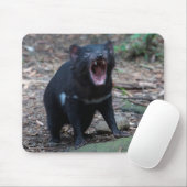 Tasmanian Devil Tasmania Australien Nah Up Foto Mousepad (Mit Mouse)