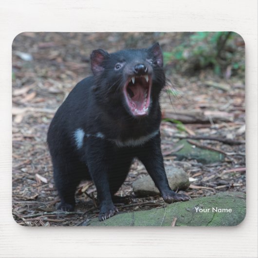 Tasmanian Devil Tasmania Australien Nah Up Foto Mousepad (Vorne)
