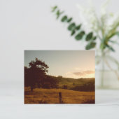 Tasmanian Summer Sunset Postkarte (Stehend Vorderseite)